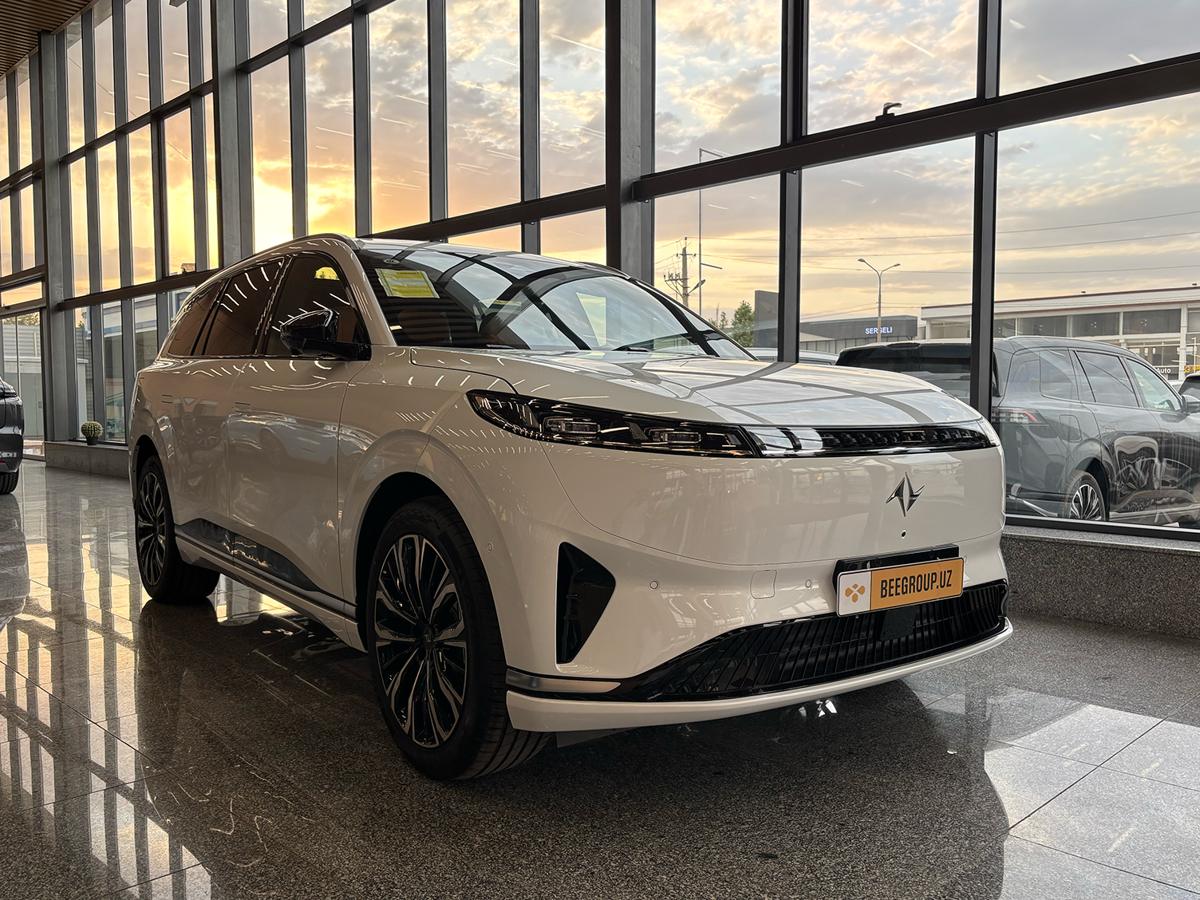 Dongfeng eπ 008 EREV nasiyaga